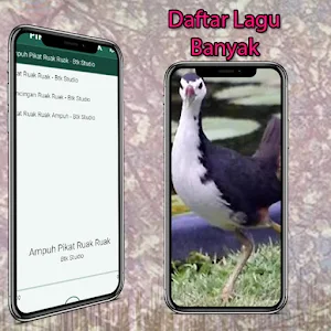Pikat Suara Ruak Ruak Offline Screenshot 0