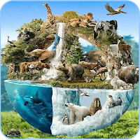 Animal Wallpaper