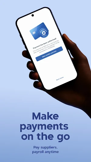 pay.com.au Screenshot 1