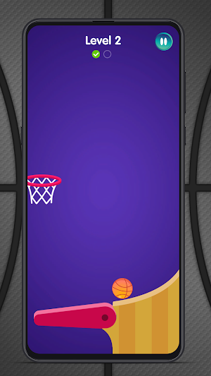 Flipper Dunk - Basketball Screenshot 3