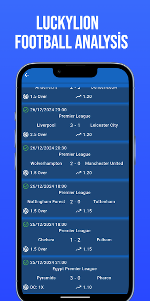 LuckyLion - Football Analysis Screenshot 2