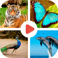 Animals Learning