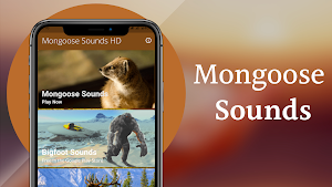 Mongoose Sounds Screenshot 1