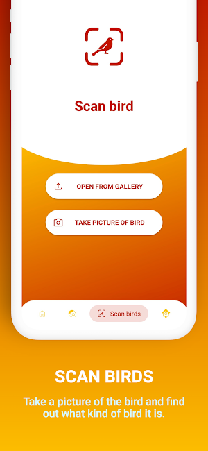FotoBird Bird Identification Screenshot 3