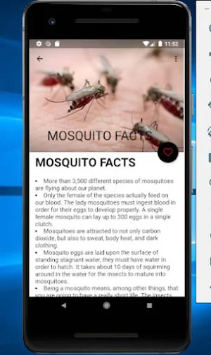 Ways to Get Rid of Mosquitoes Screenshot 1