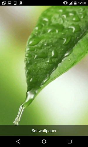 Rain Live Wallpapers Screenshot 1