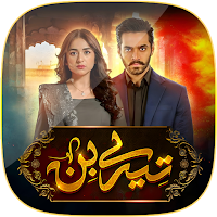 Tere Bin - Pakistani Drama