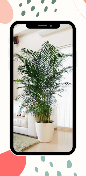 Indoor decorative plants Screenshot 1
