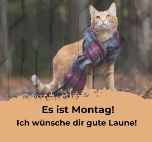 Montag Bilder Lustig Screenshot 2