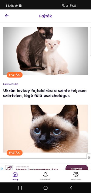 We love Catz Screenshot 3