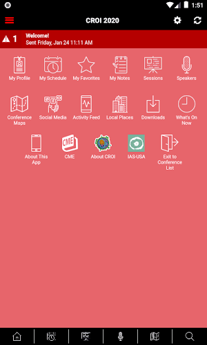 CROI Screenshot 1