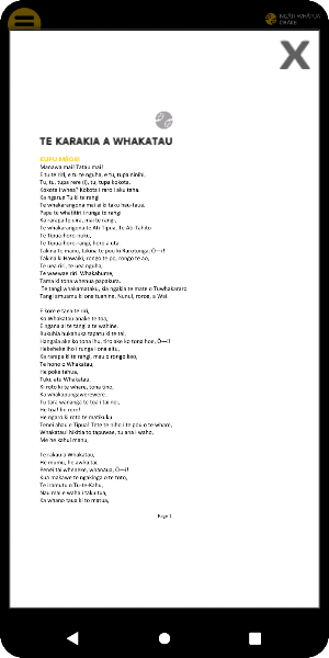 Ngāti Whātua Kapa Haka Screenshot 3