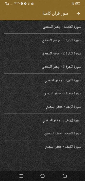 جعفر السعدي قران ورش بدون نت Screenshot 3