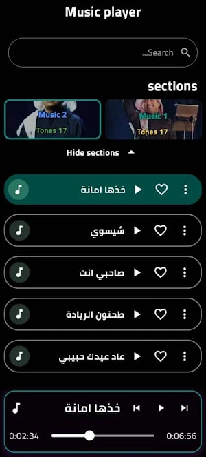 جميع اغاني راشد الماجد بدون نت Screenshot 2