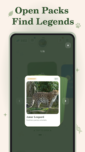 Animal Gacha: Wildlife Cards Screenshot 0