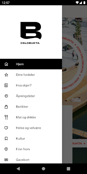 Oslobukta Screenshot 0
