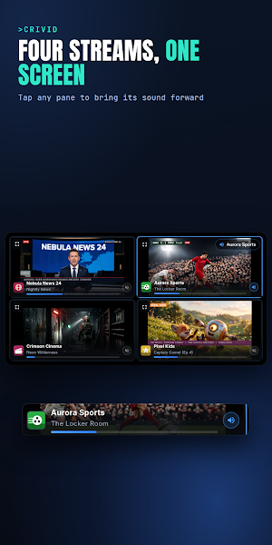 Crivid IPTV Player Screenshot 2