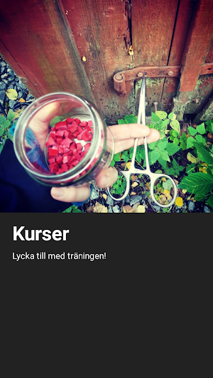 Gava Hund Screenshot 0