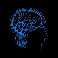 Brain Training Games