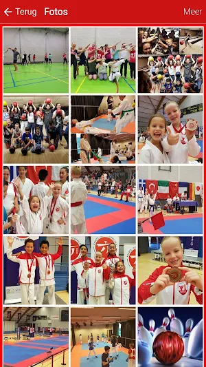 Karate team utrecht Screenshot 1