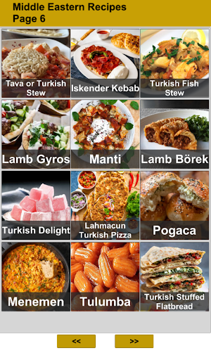 100 Middle Eastern Recipes Screenshot 3