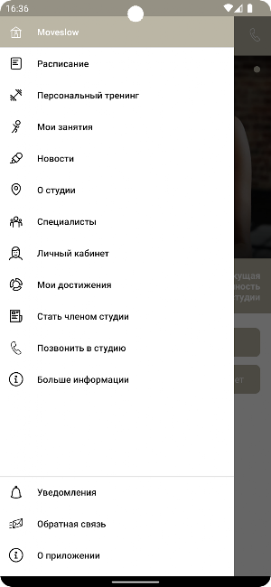 moveslow Screenshot 2