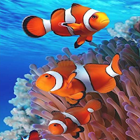 Sea Life Wallpapers