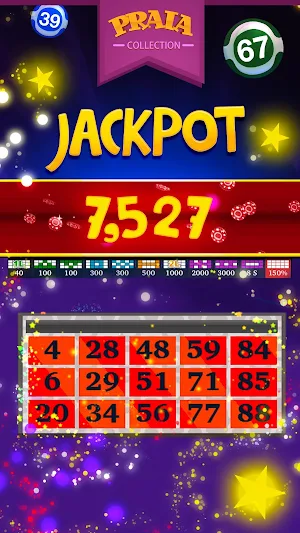 Video Bingo Ipanema Screenshot 2