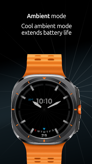 RF Jubilee Watch Face Full Screenshot 3