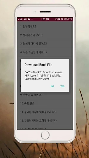 Korean KIIP Book - Level 0-5 Screenshot 2