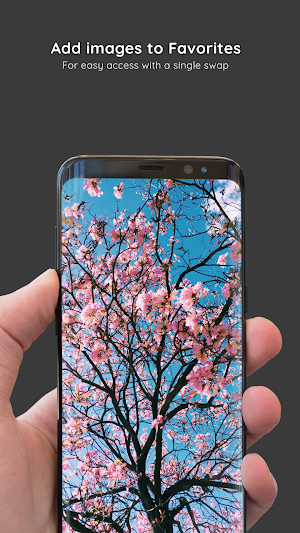 Spring Wallpapers 8K ULTRA Screenshot 2