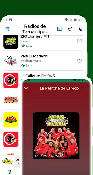 Radios de Tamaulipas Screenshot 2