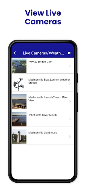 Madisonville Live Cams Screenshot 1