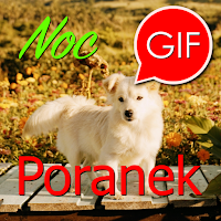 Polish Morning & Night Gifs