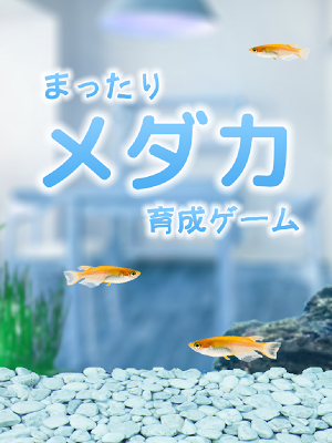 まったりメダカ育成ゲーム Screenshot 3