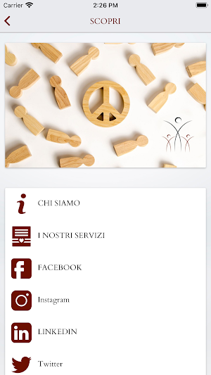 SPF Mediazione Vincente Screenshot 0