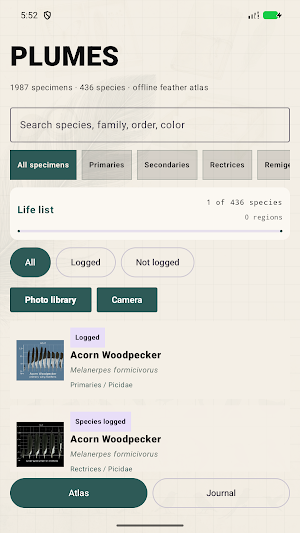 Plumes: Feather Atlas Screenshot 0