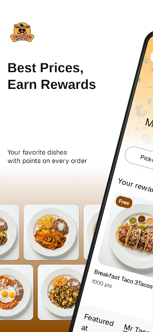 Mr Taco Mexican Grill Inc Screenshot 0