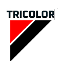 Torcida do Tricolor
