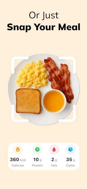 AI Food Tracker : DietPal Screenshot 2
