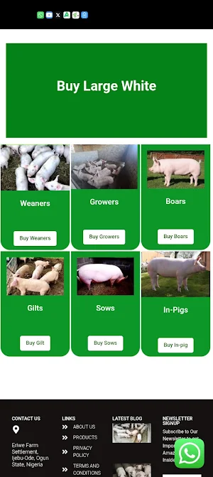 Agroallied Pig Farm Screenshot 0