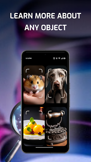 Identify Anything: AI ID Lens Screenshot 2