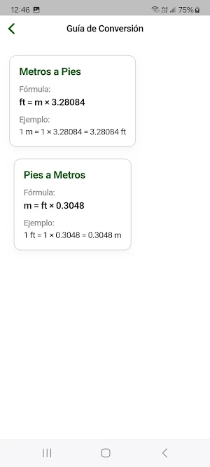 Metros a Pies Screenshot 2