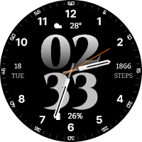 EXD143: Hybrid Watch Face