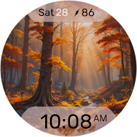 5W021 Autumn Season Forest