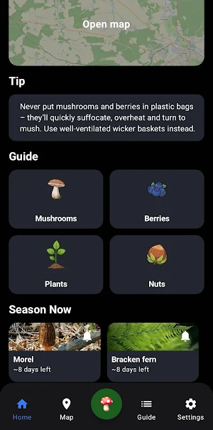 ForestPoint: Mushroom & Berry Screenshot 0
