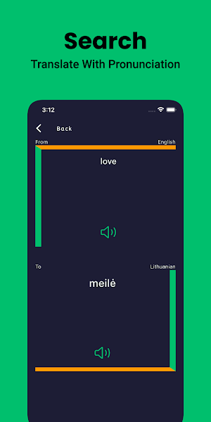 Lithuanian Dictionary English Screenshot 3