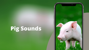 Pig Sounds Screenshot 0