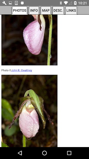 New England Wildflowers Screenshot 3