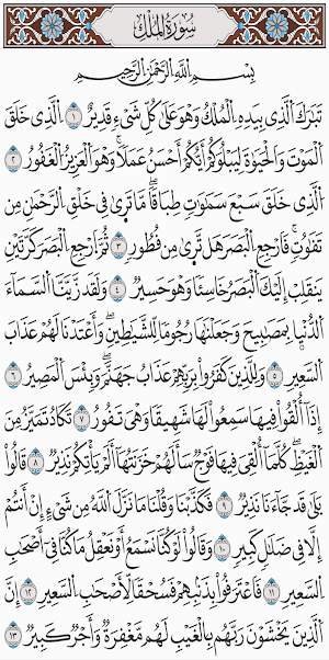 القرآن الكريم برواية الدوري Screenshot 0